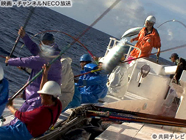 宝の海で大儲け！ニッポンの荒稼ぎ漁師2013