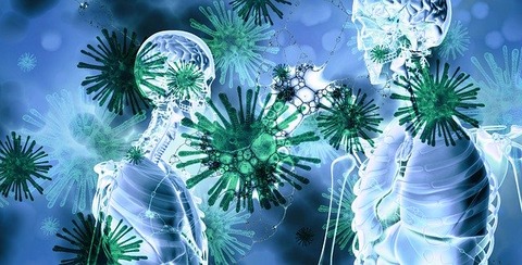 中国の科学者、13年にも新型ウイルスを人工合成 　過去報道が話題に
